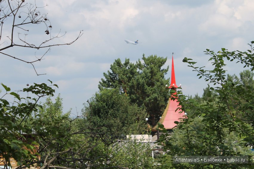 Наше деревенское лето или как Тимошка, ездил на дачу часть 2 (фото 9)