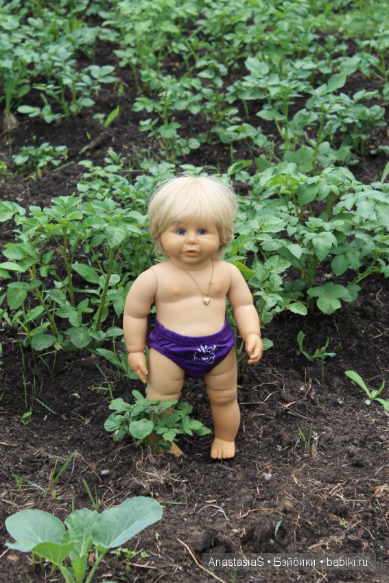 Наше деревенское лето или как Тимошка, ездил на дачу часть 2 (фото 3)