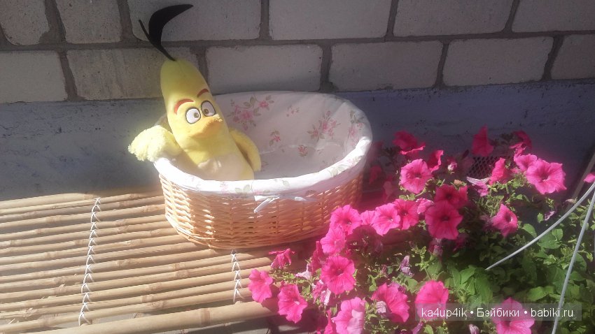 Летние денечки:) — Интересное и необычное: фотоподборки (фото 2)