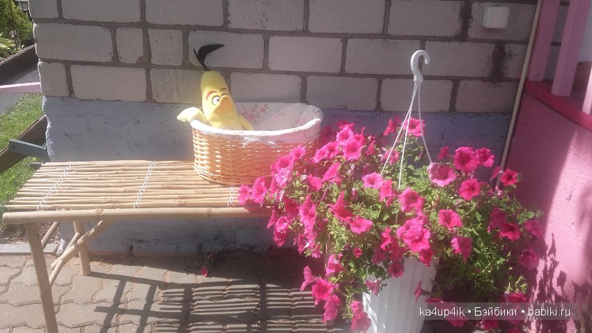 Летние денечки:) — Интересное и необычное: фотоподборки
