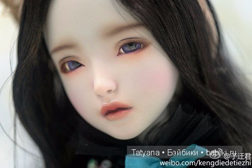 SiO2 выпустили новую голову размера SD — Taolu