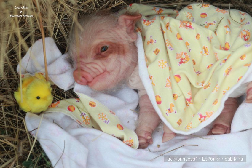 Свинка Хлоя, хрю-хрю-хрю Часть 1