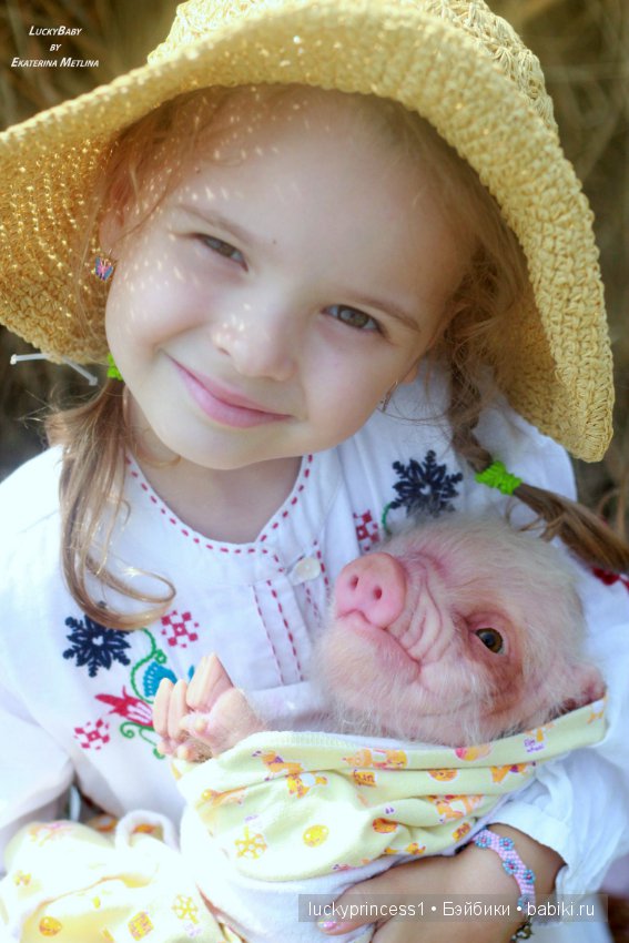 Свинка Хлоя, хрю-хрю-хрю Часть 1