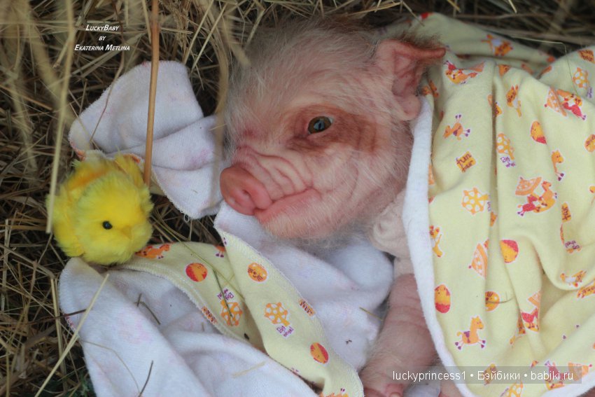 Свинка Хлоя, хрю-хрю-хрю Часть 1