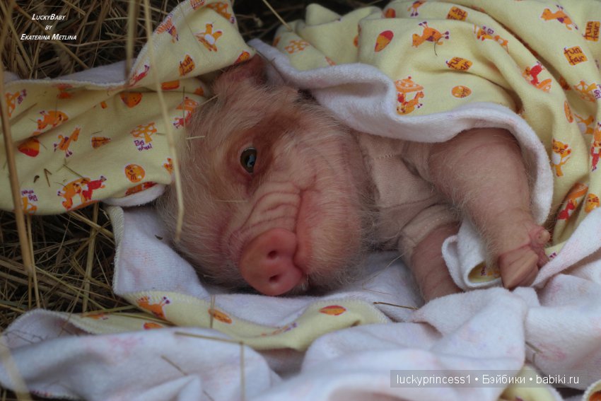 Свинка Хлоя, хрю-хрю-хрю Часть 1