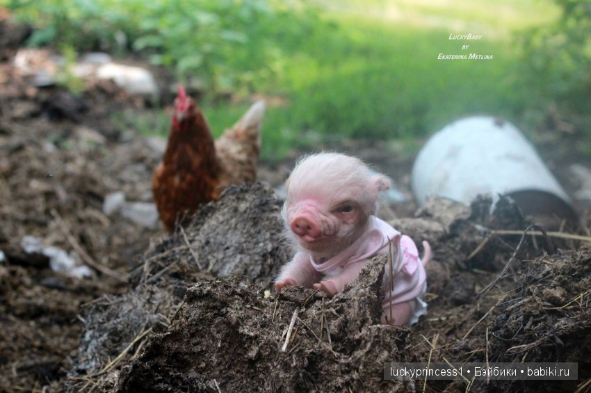 Свинка Хлоя, хрю-хрю-хрю Часть 1