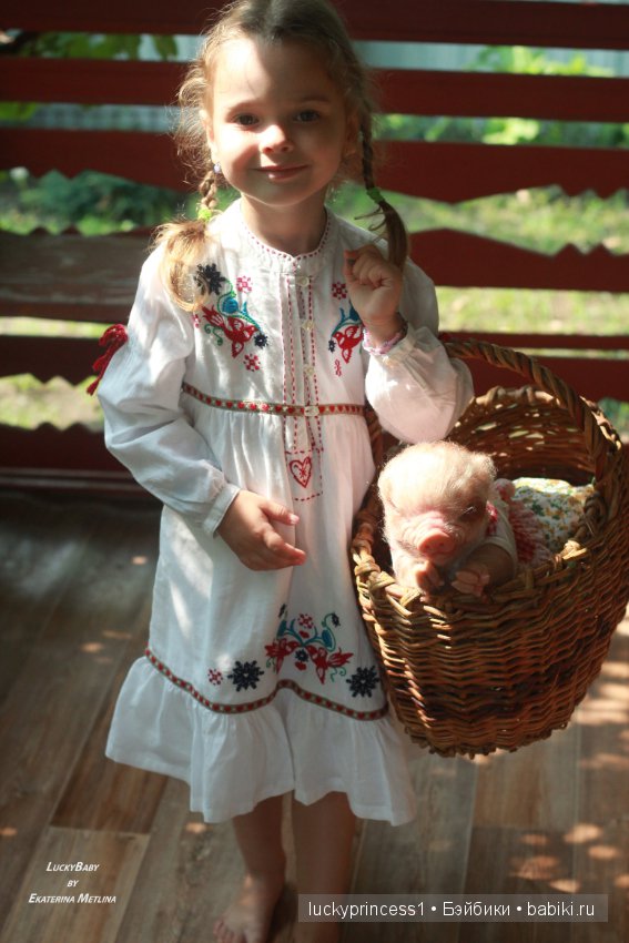 Свинка Хлоя, хрю-хрю-хрю Часть 1