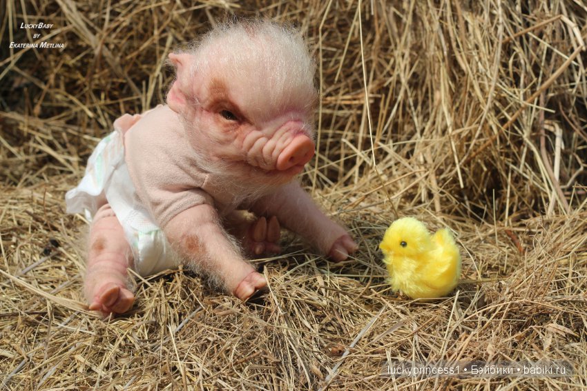 Свинка Хлоя, хрю-хрю-хрю Часть 1