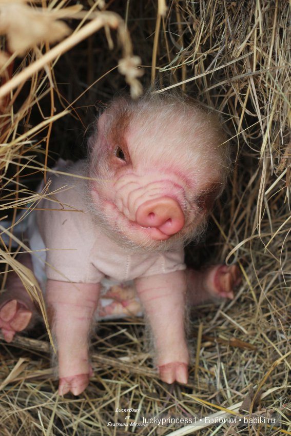 Свинка Хлоя, хрю-хрю-хрю Часть 1 (фото 7)