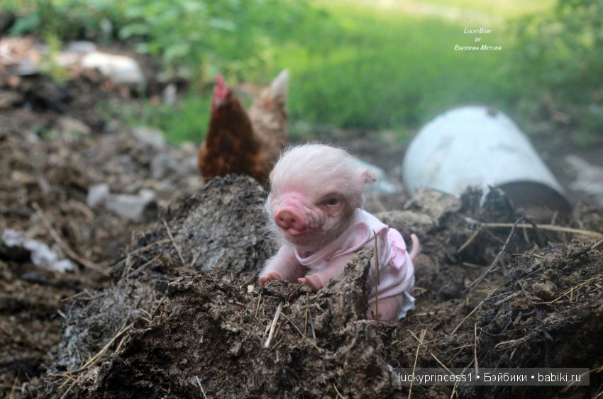 Свинка Хлоя, хрю-хрю-хрю Часть 1