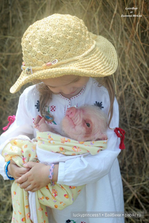 Свинка Хлоя, хрю-хрю-хрю Часть 1