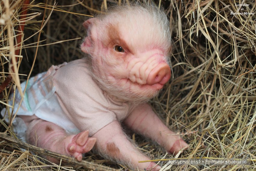 Свинка Хлоя, хрю-хрю-хрю Часть 1 (фото 8)