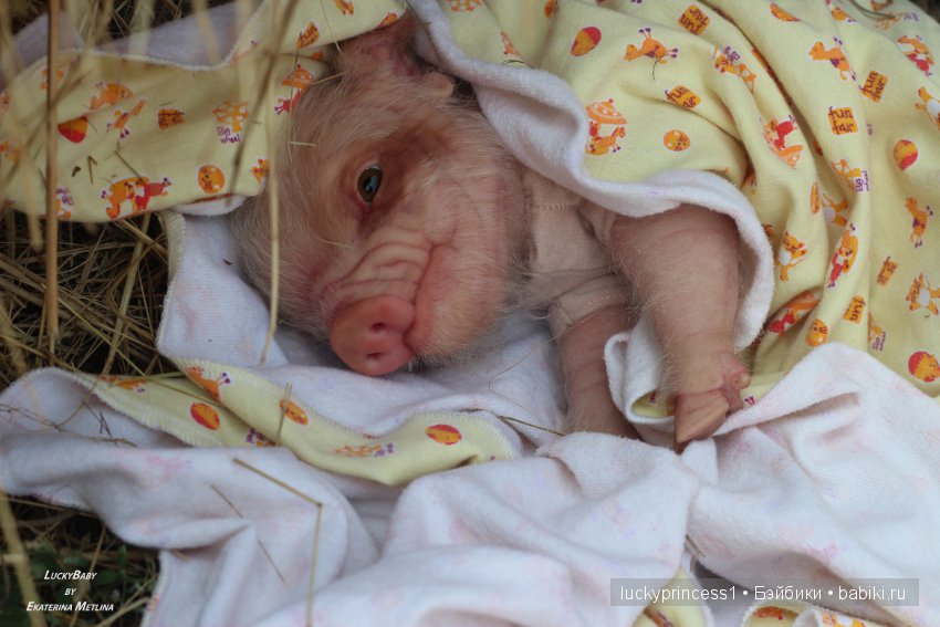 Свинка Хлоя, хрю-хрю-хрю Часть 1