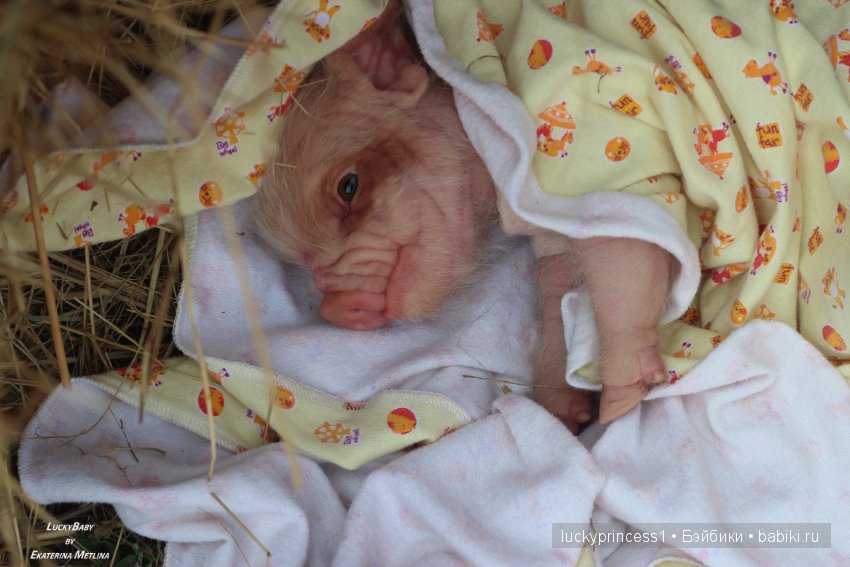 Свинка Хлоя, хрю-хрю-хрю Часть 1 (фото 10)