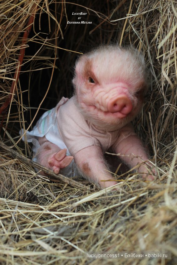 Свинка Хлоя, хрю-хрю-хрю Часть 1 (фото 9)