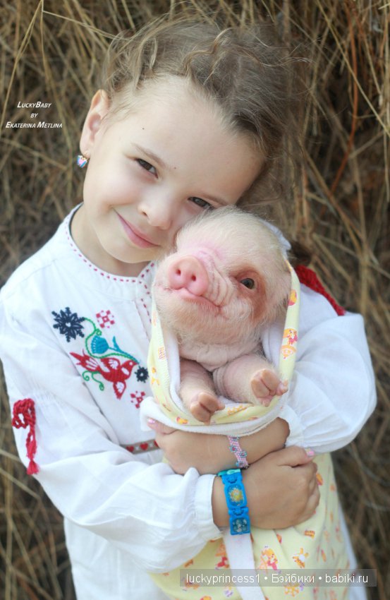 Свинка Хлоя, хрю-хрю-хрю Часть 1