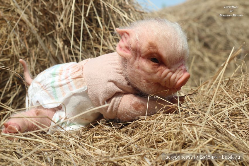 Свинка Хлоя, хрю-хрю-хрю Часть 1 (фото 5)