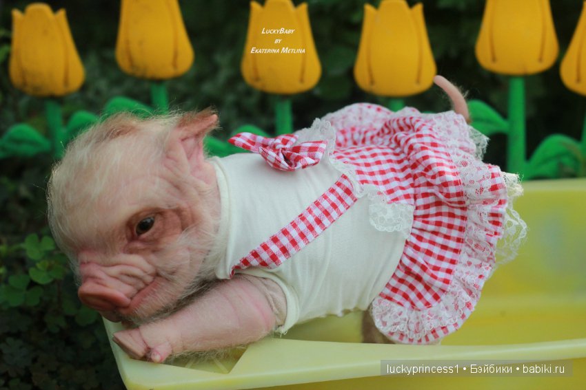 Свинка Хлоя. Часть 2 — Куклы Реборн (Reborn): работы мастеров