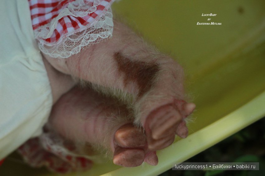 Свинка Хлоя. Часть 2 — Куклы Реборн (Reborn): работы мастеров