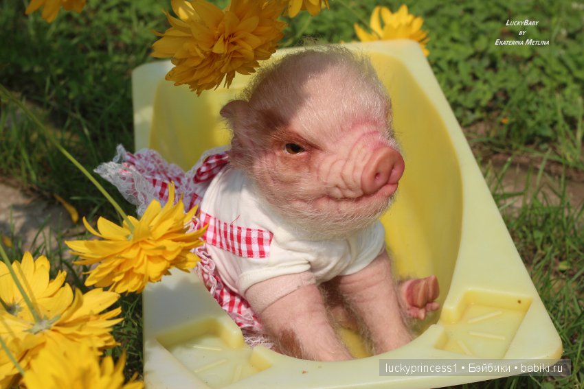 Свинка Хлоя. Часть 2 — Куклы Реборн (Reborn): работы мастеров