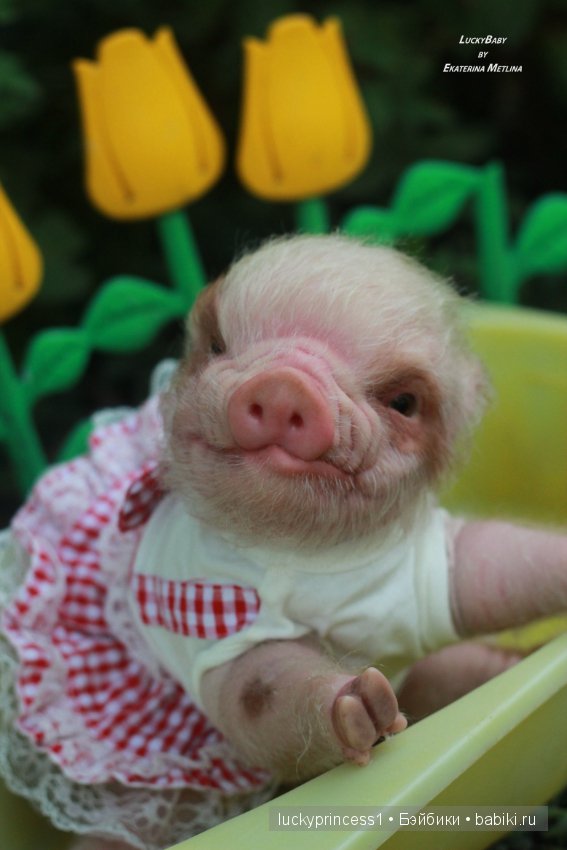 Свинка Хлоя. Часть 2 — Куклы Реборн (Reborn): работы мастеров
