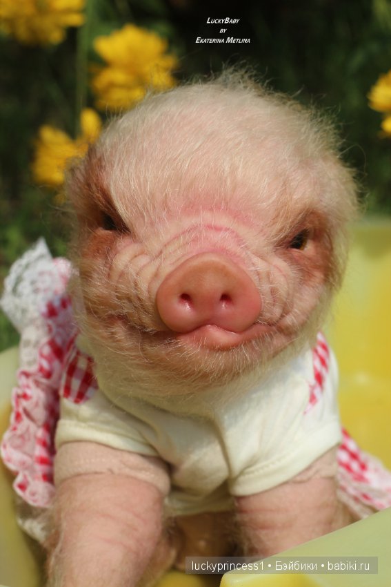 Свинка Хлоя. Часть 2 — Куклы Реборн (Reborn): работы мастеров