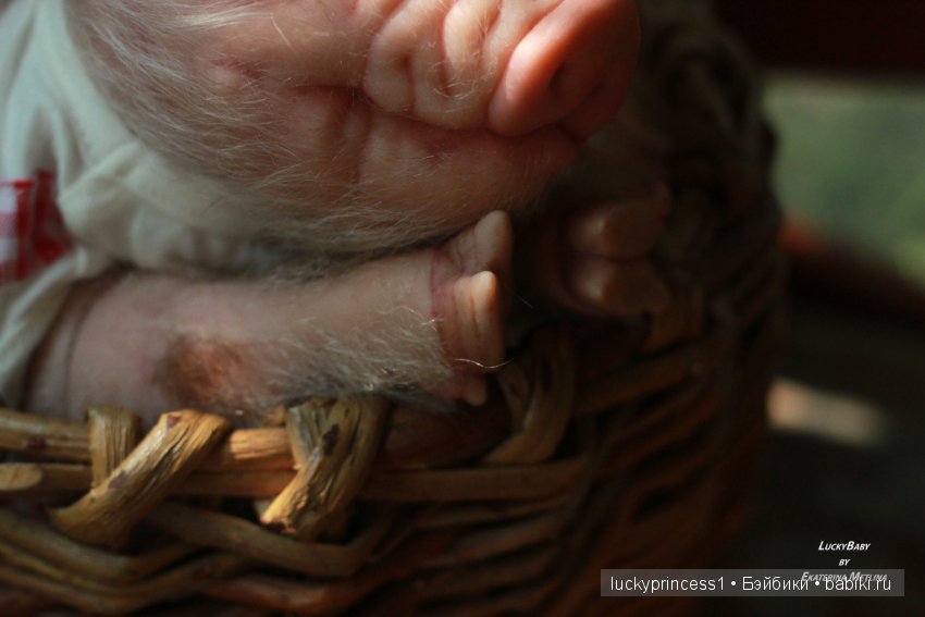 Свинка Хлоя. Часть 2 — Куклы Реборн (Reborn): работы мастеров