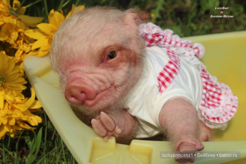 Свинка Хлоя. Часть 2 — Куклы Реборн (Reborn): работы мастеров