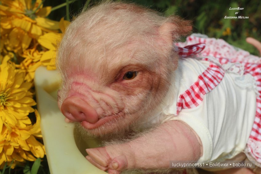 Свинка Хлоя. Часть 2 — Куклы Реборн (Reborn): работы мастеров