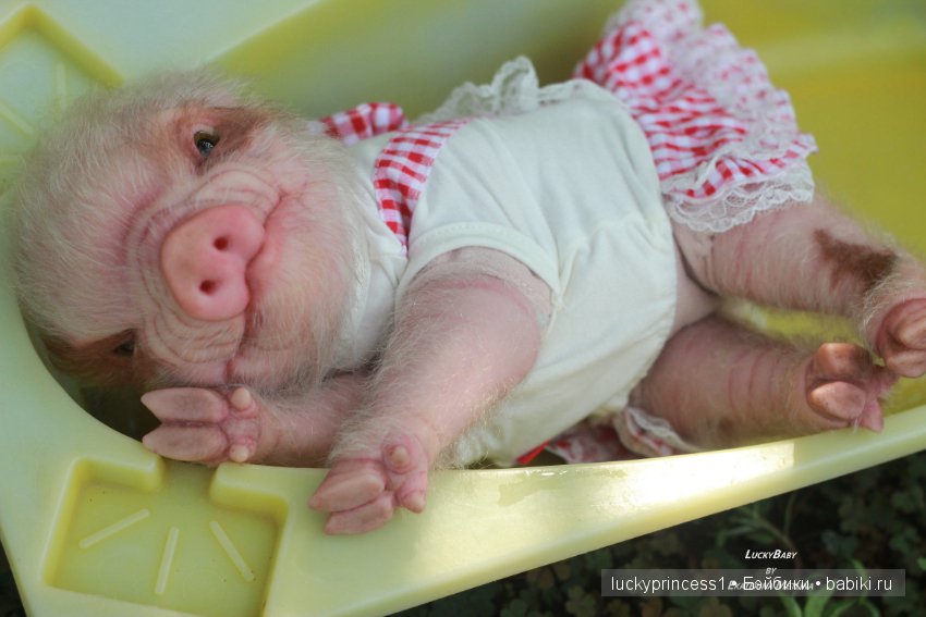 Свинка Хлоя. Часть 2 — Куклы Реборн (Reborn): работы мастеров