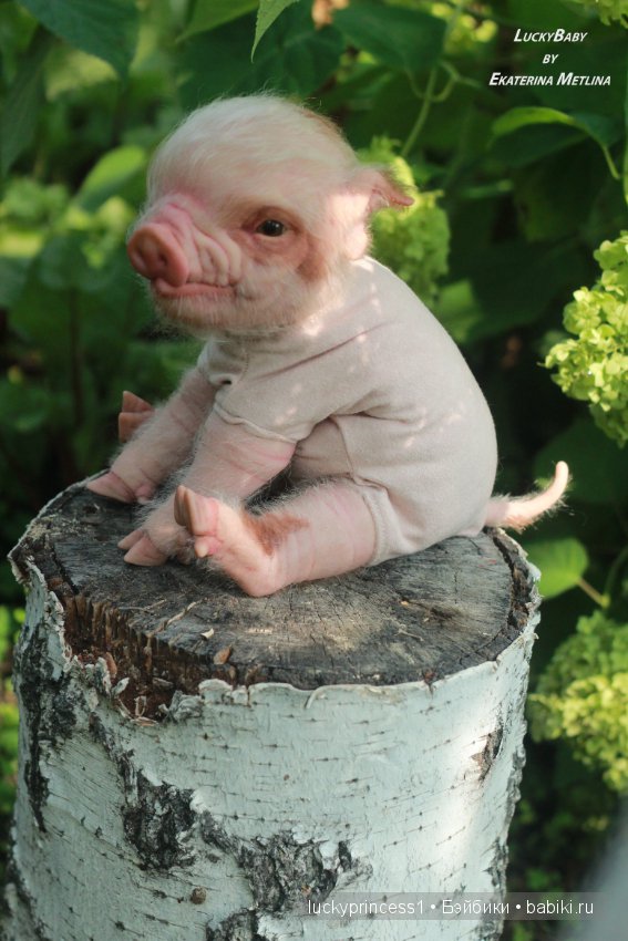 Свинка Хлоя. Часть 2 — Куклы Реборн (Reborn): работы мастеров