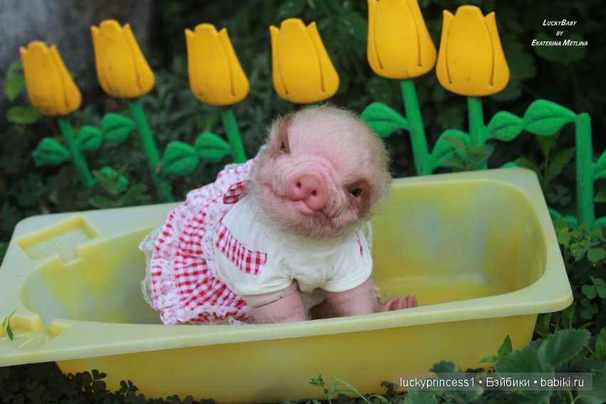 Свинка Хлоя. Часть 2 — Куклы Реборн (Reborn): работы мастеров