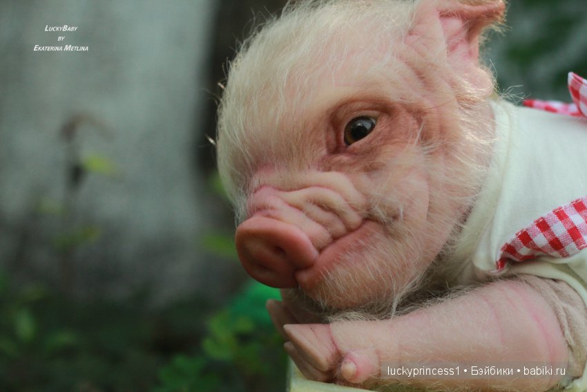 Свинка Хлоя. Часть 2 — Куклы Реборн (Reborn): работы мастеров