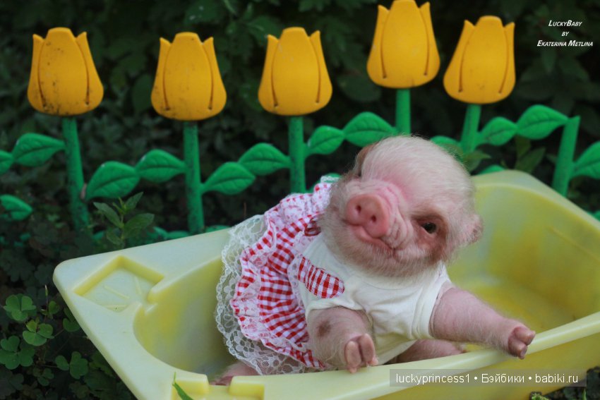 Свинка Хлоя. Часть 2 — Куклы Реборн (Reborn): работы мастеров