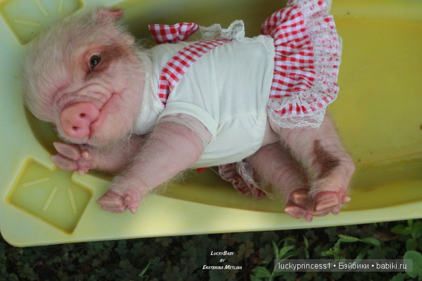 Свинка Хлоя. Часть 2 — Куклы Реборн (Reborn): работы мастеров