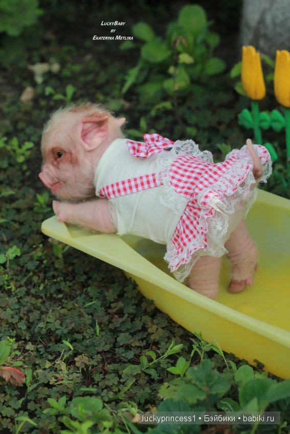 Свинка Хлоя. Часть 2 — Куклы Реборн (Reborn): работы мастеров