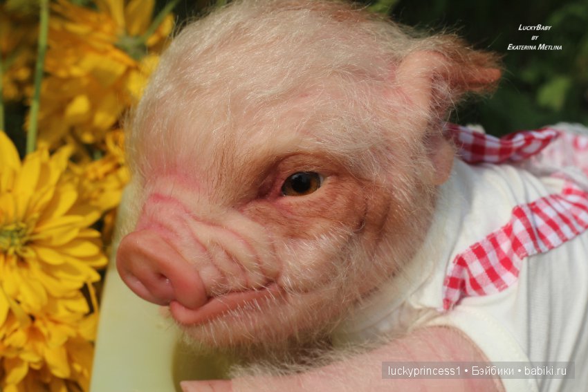 Свинка Хлоя. Часть 2 — Куклы Реборн (Reborn): работы мастеров