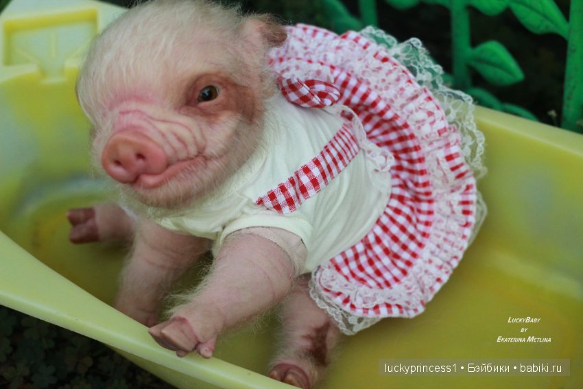 Свинка Хлоя. Часть 2 — Куклы Реборн (Reborn): работы мастеров