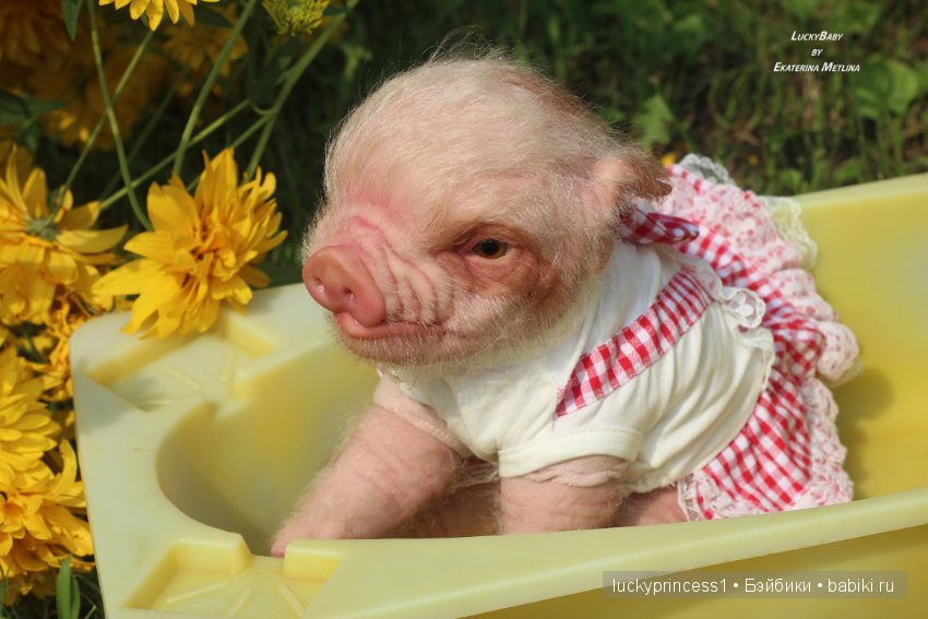 Свинка Хлоя. Часть 2 — Куклы Реборн (Reborn): работы мастеров