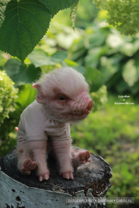 Свинка Хлоя. Часть 2 — Куклы Реборн (Reborn): работы мастеров