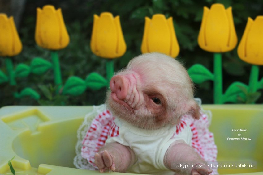 Свинка Хлоя. Часть 2 — Куклы Реборн (Reborn): работы мастеров