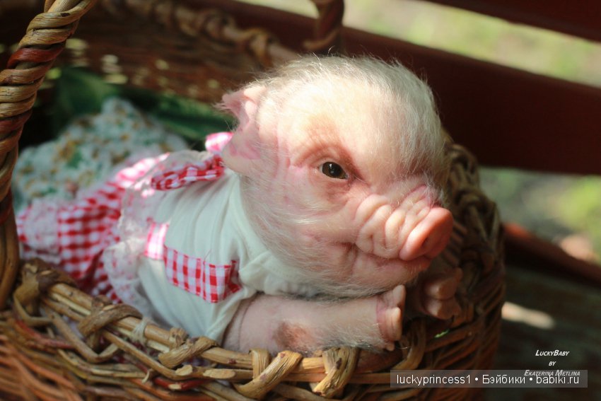 Свинка Хлоя. Часть 2 — Куклы Реборн (Reborn): работы мастеров