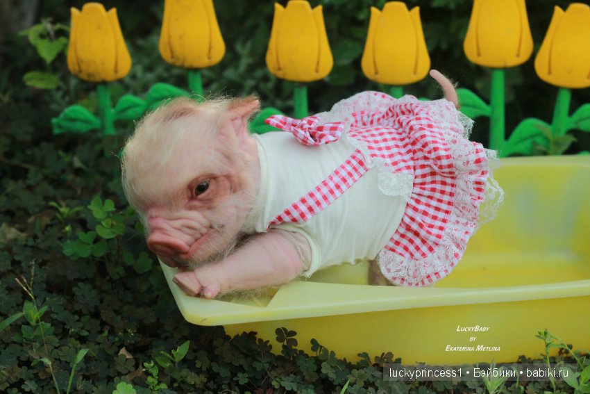 Свинка Хлоя. Часть 2 — Куклы Реборн (Reborn): работы мастеров