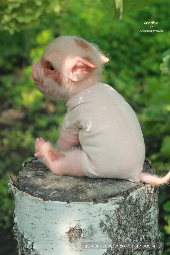 Свинка Хлоя. Часть 2 — Куклы Реборн (Reborn): работы мастеров