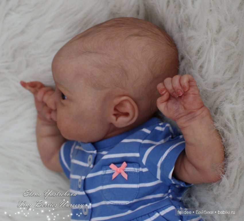 Мои новые малыши - Аврора и Ларри (фото 5)