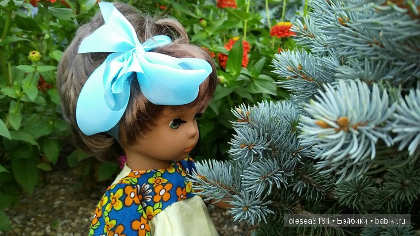 Вечерняя прогулка с мулаткой от Шалькнау (Sсhаlkau)