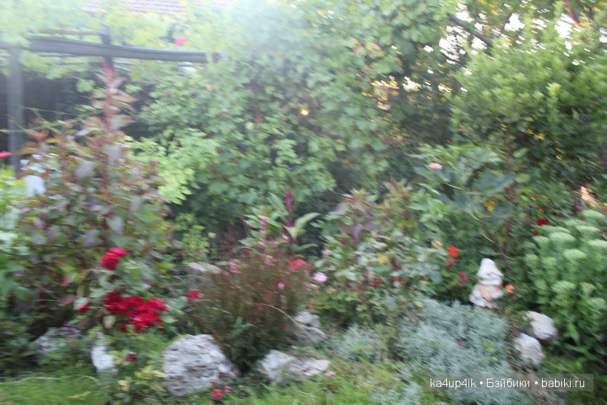 Частичка Болгарии приехала в Эстонию