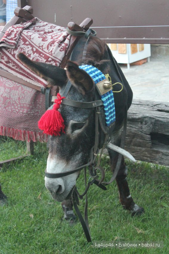 Частичка Болгарии приехала в Эстонию