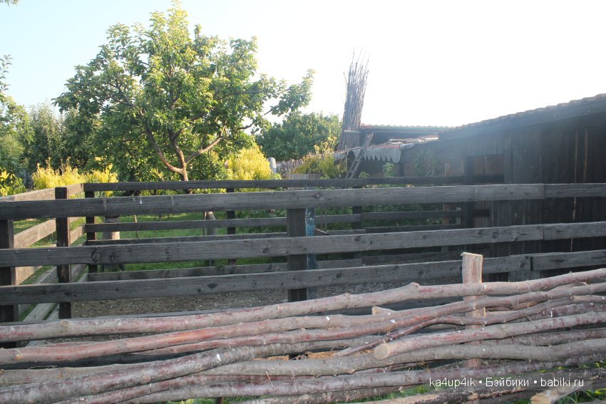 Частичка Болгарии приехала в Эстонию