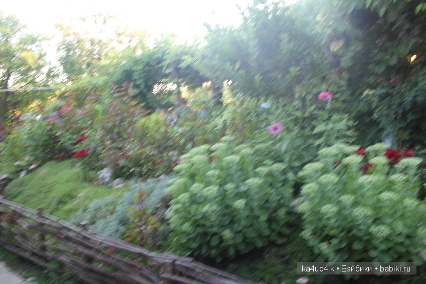 Частичка Болгарии приехала в Эстонию